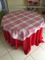 /album/cobre-manchas/cobre-mancha-xadrez-vermelho-jpg1/